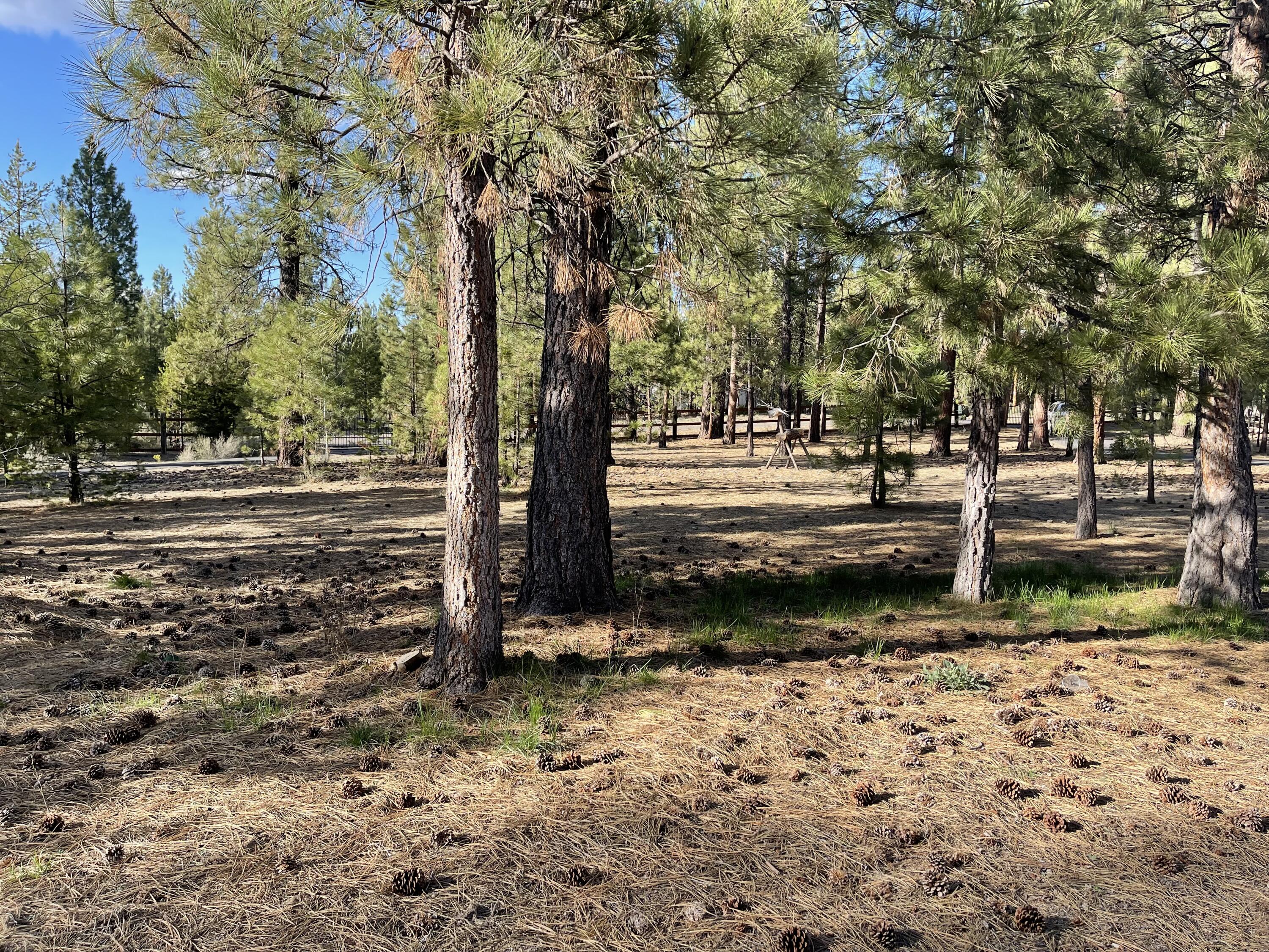 15647 Cornell Road La Pine, OR 97739 - Photo 10 of 40 Photo May 15, 5 56 31 PM