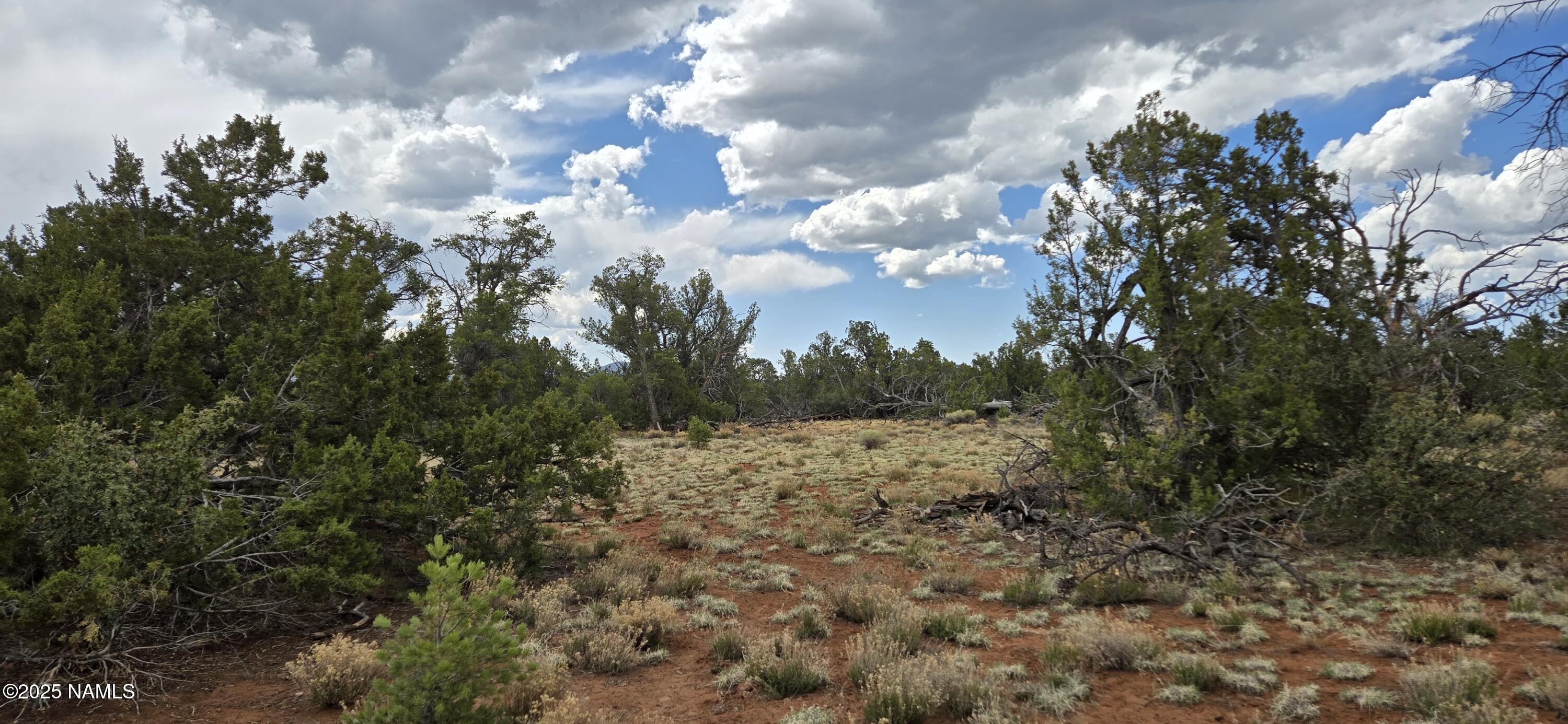 5666 Lasso Loop Williams, AZ 86046 - Photo 8 of 29 20250503_102649
