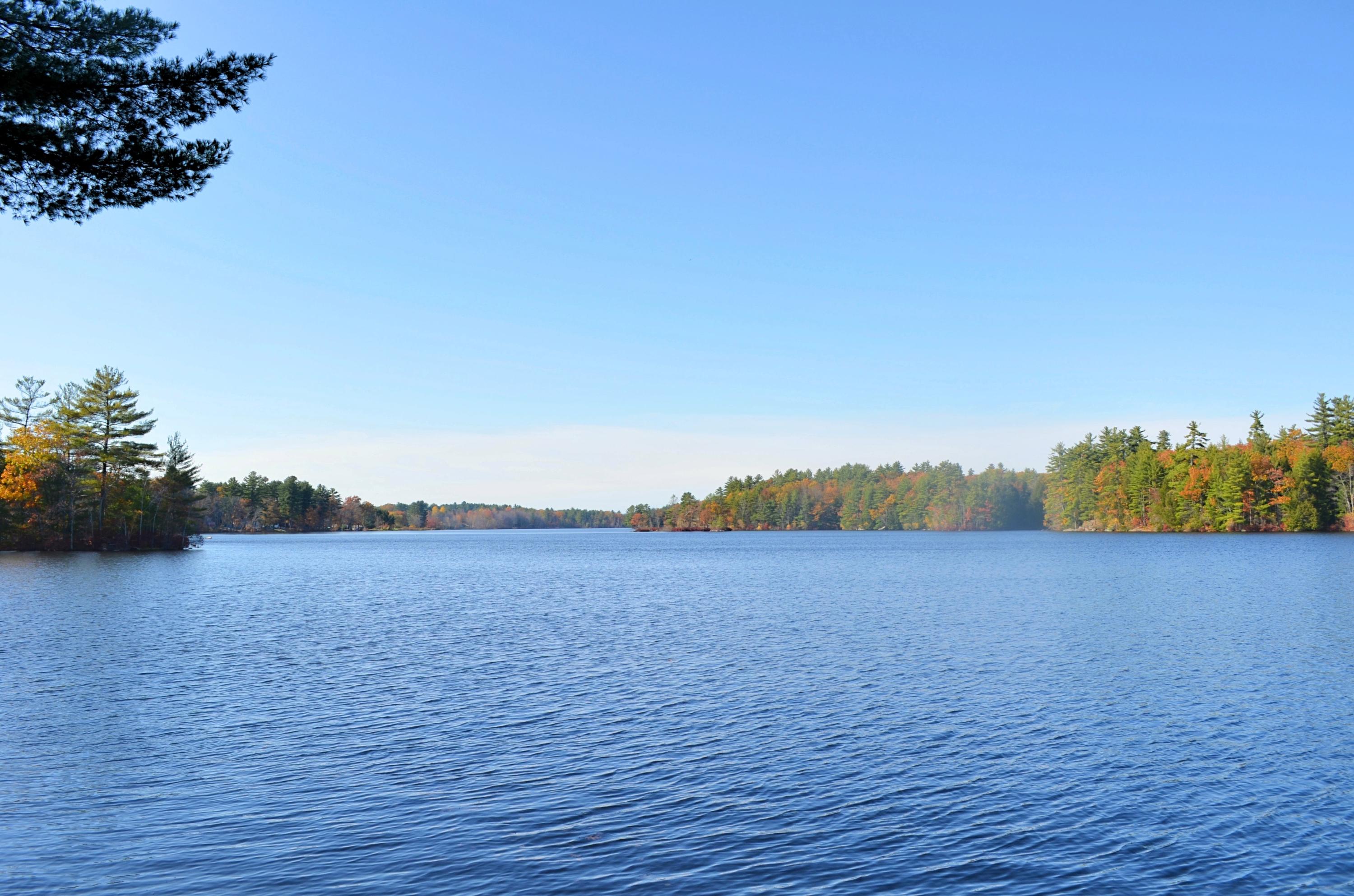 77 Brown Road Sanford, ME 04073 - Photo 6 of 25 DSC_0134