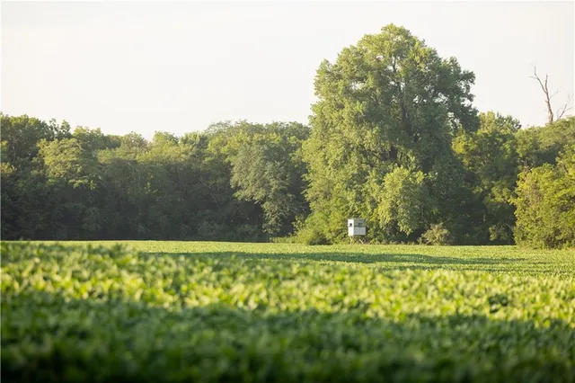 $525,000 | Tbd Southwest Wamsley Road, Osborn, MO 64474