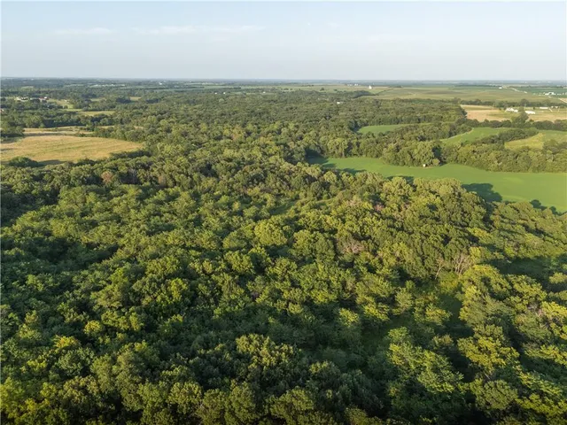 $525,000 | Tbd Southwest Wamsley Road, Osborn, MO 64474