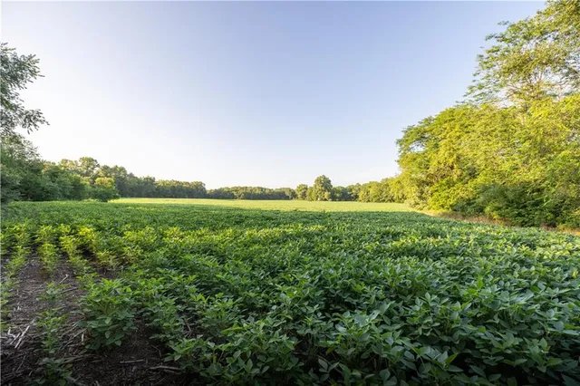 $525,000 | Tbd Southwest Wamsley Road, Osborn, MO 64474