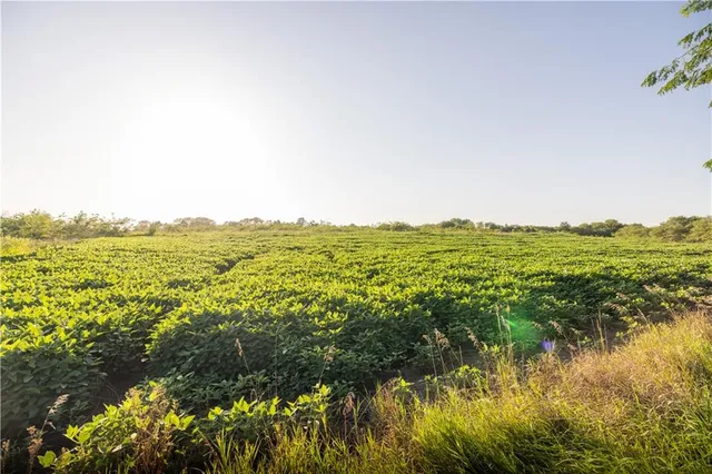 $525,000 | Tbd Southwest Wamsley Road, Osborn, MO 64474