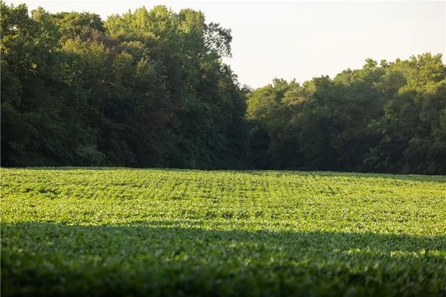 $525,000 | Tbd Southwest Wamsley Road, Osborn, MO 64474