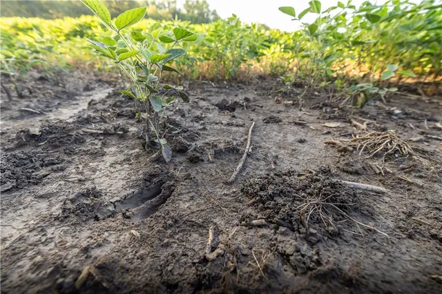 $525,000 | Tbd Southwest Wamsley Road, Osborn, MO 64474