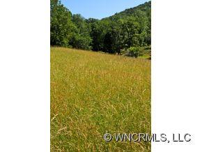 2384 Riceville Road Asheville, NC 28805 - Photo 4 of 6 Gallery Image 4