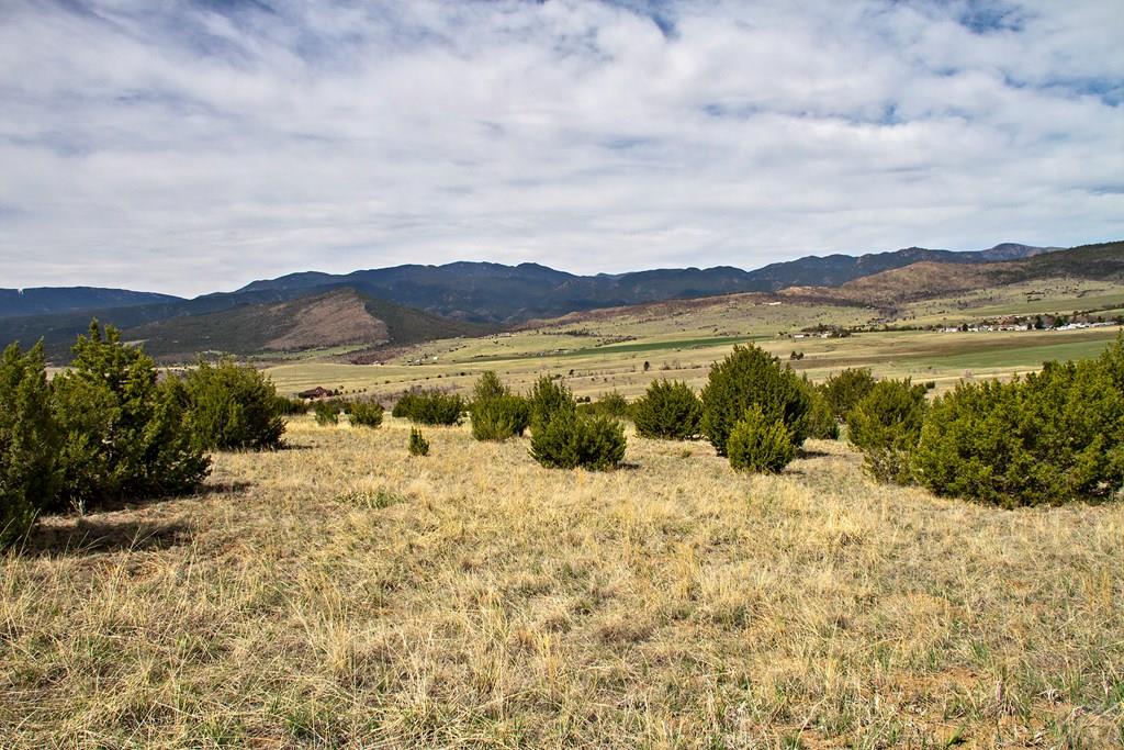 Tbd Garrett Road Beulah, CO 81023 - Photo 18 of 42 Gallery Image 18