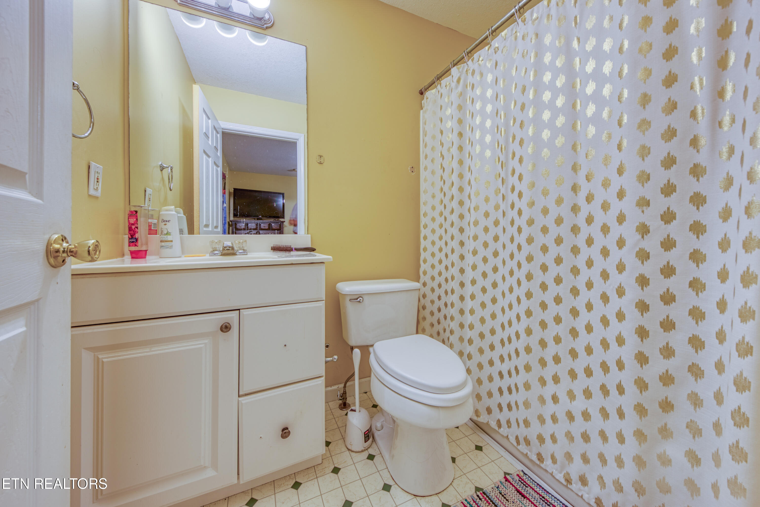 157 Acorn Drive Corryton, TN 37721 - Photo 17 of 24 Bathroom