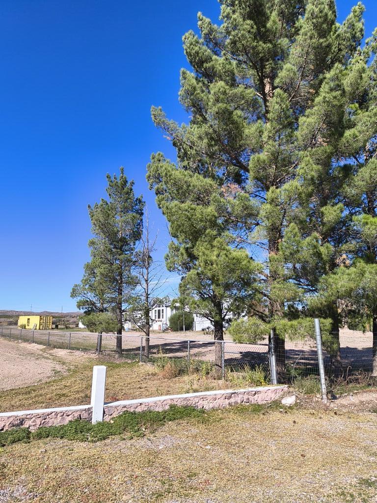 127 Polvadera Road Polvadera, NM 87828 - Photo 3 of 23 Gallery Image 3