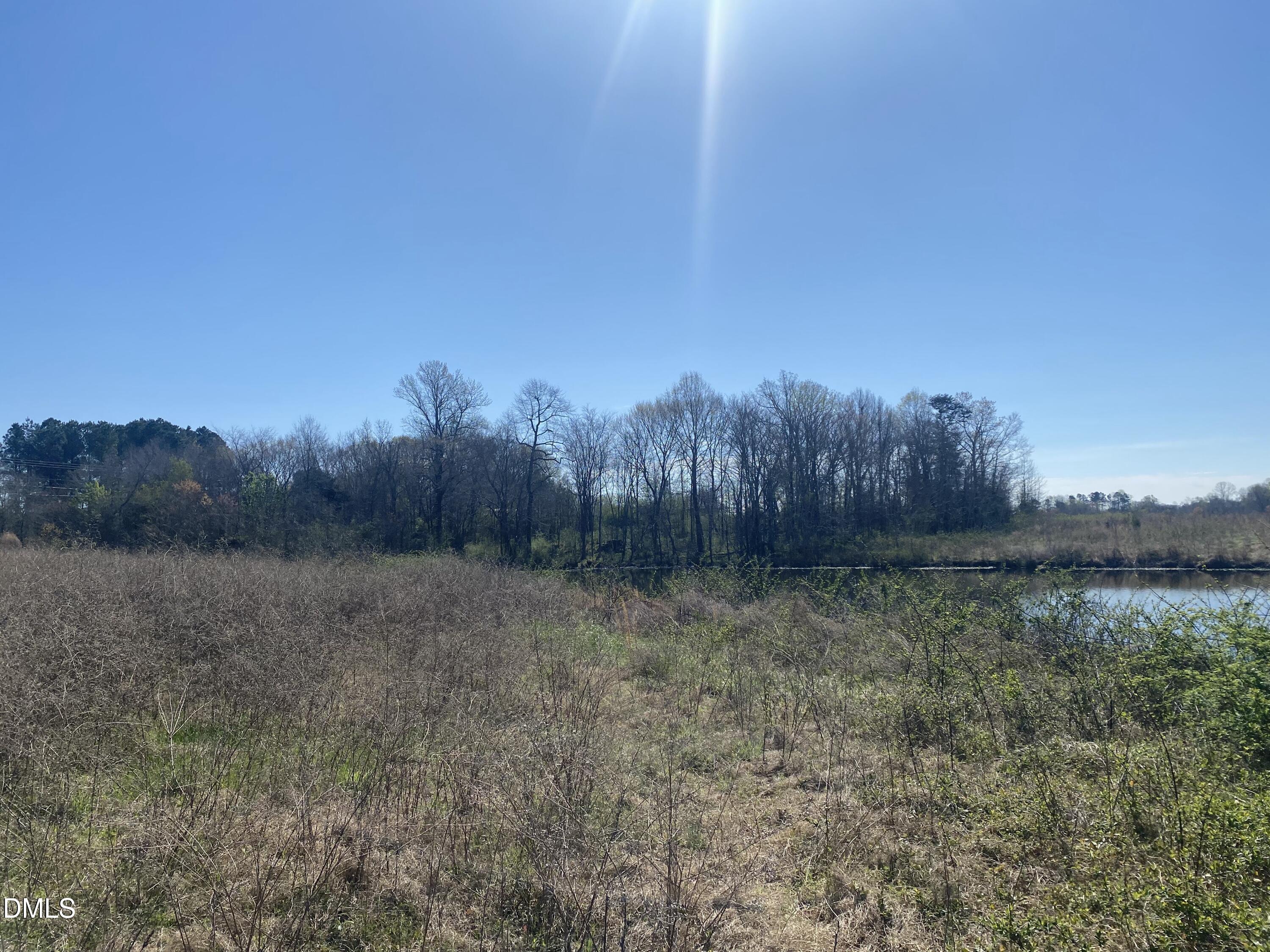 6020 Corbett Ridge Road Mebane, NC 27302 - Photo 7 of 12 a view of a yard