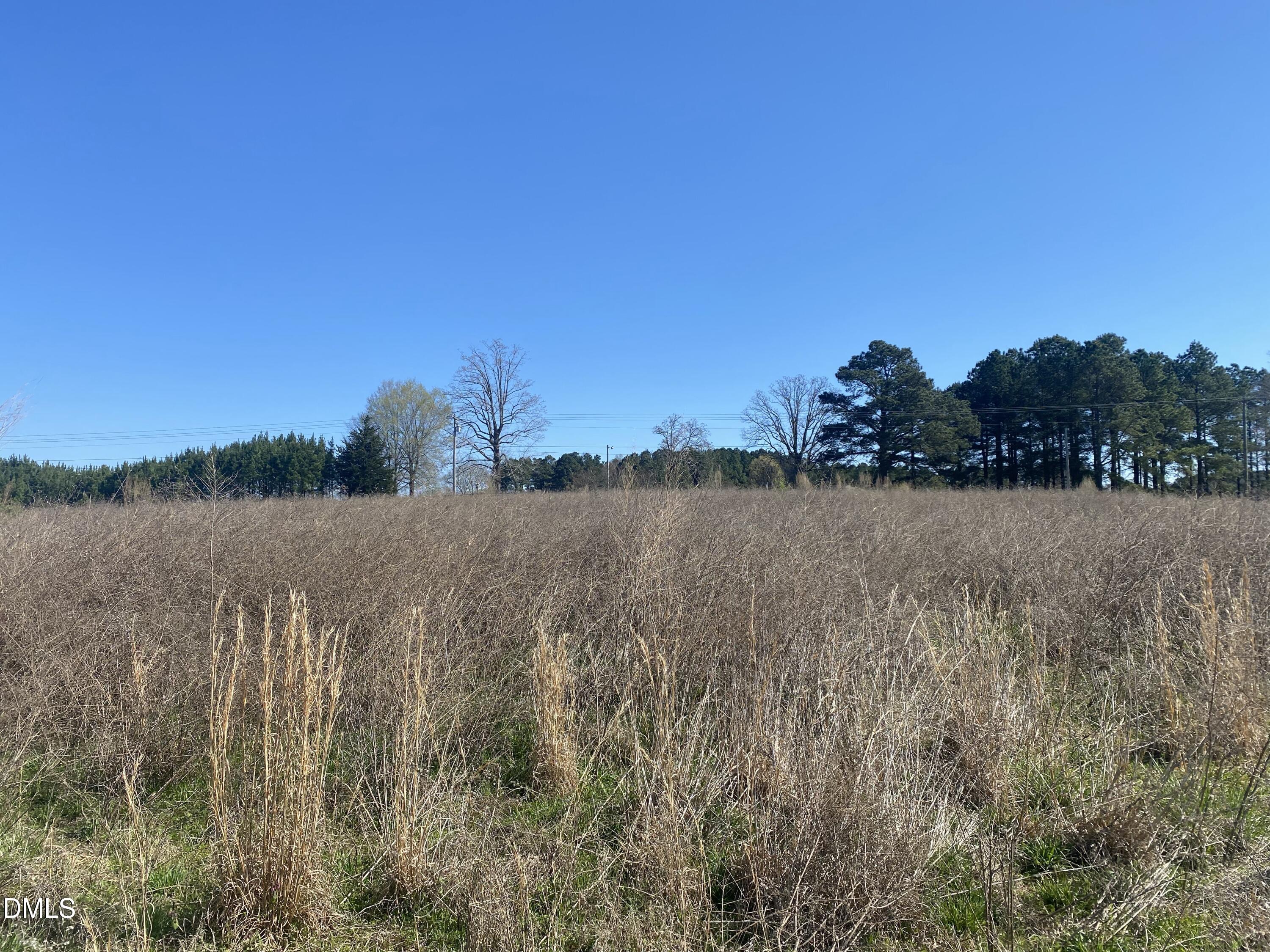 6020 Corbett Ridge Road Mebane, NC 27302 - Photo 8 of 12 a view of lake with plants