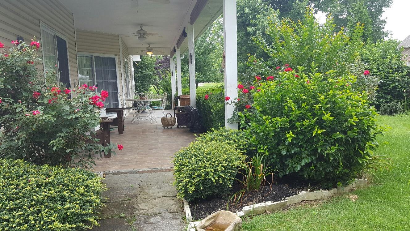 7118 Fernvale Road Fairview, TN 37062 - Photo 9 of 29 a view of a potted flower in the backyard with potted plants