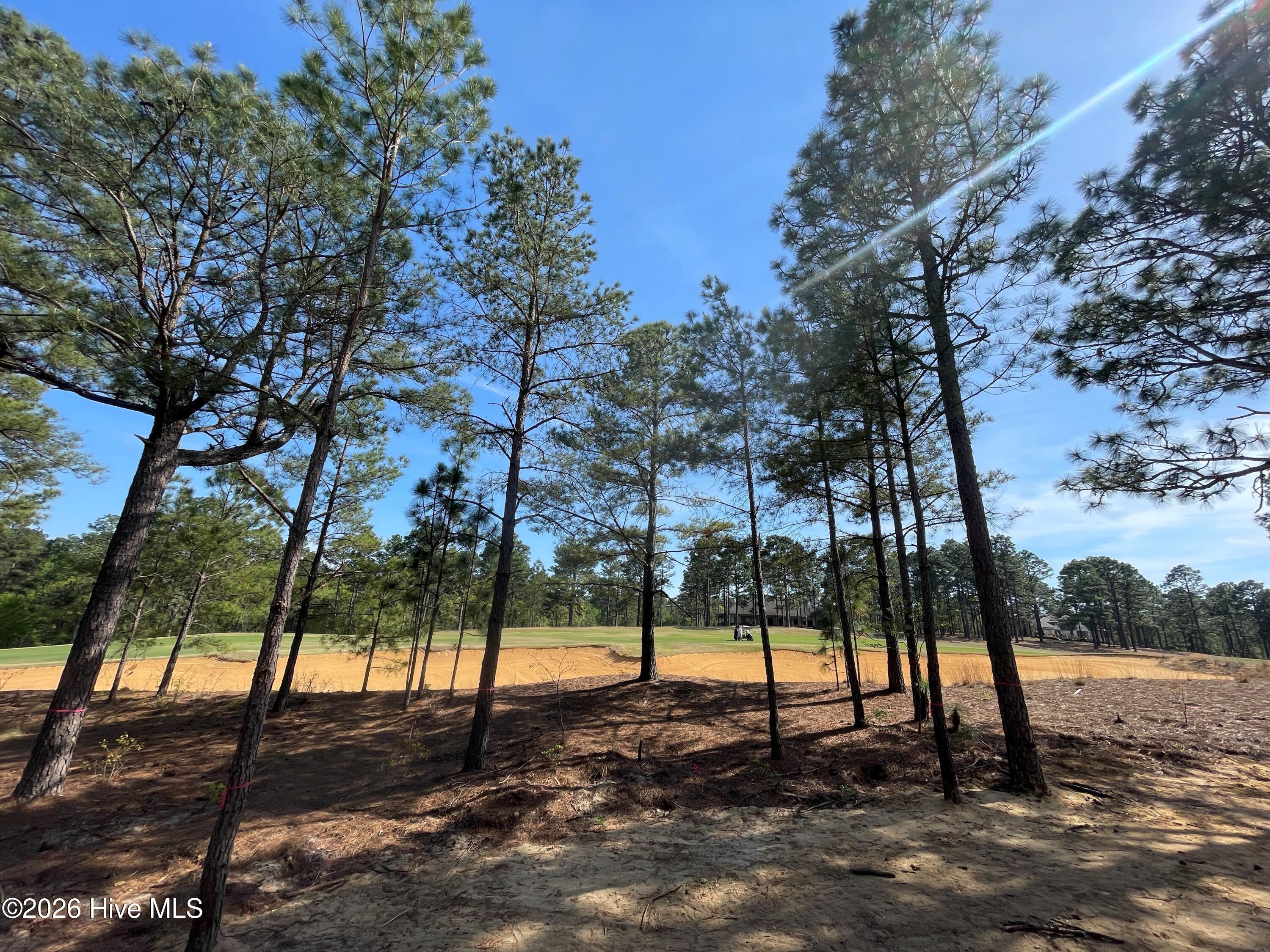 160 Westwood Road Pinehurst, NC 28374 - Photo 5 of 11 Golf Course View