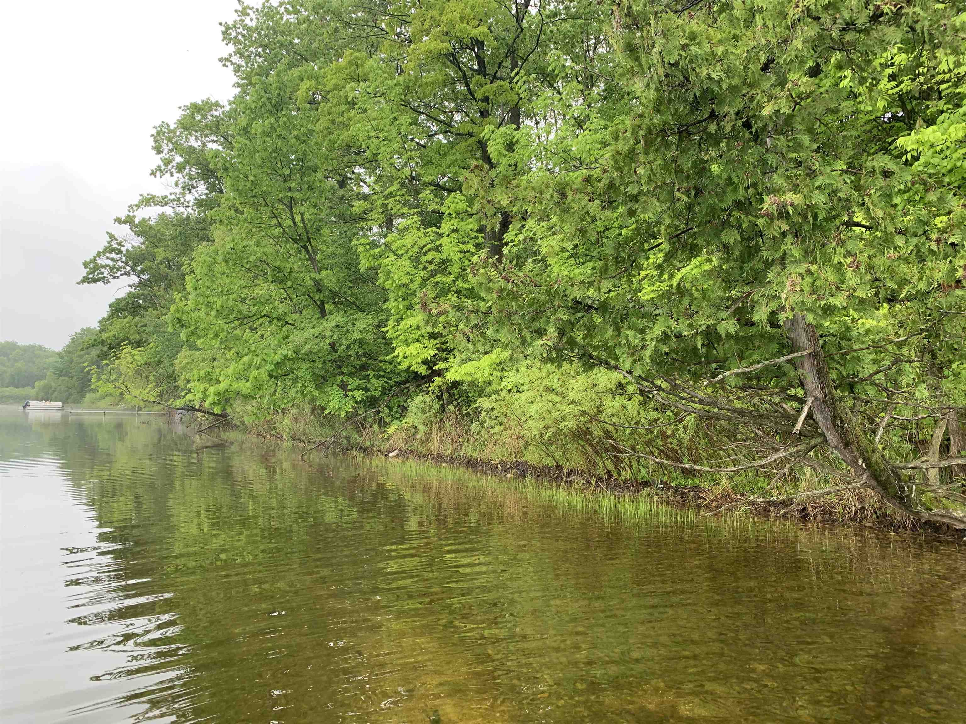 V/l Bass Lake Road Lupton, MI 48635 - Photo 2 of 15