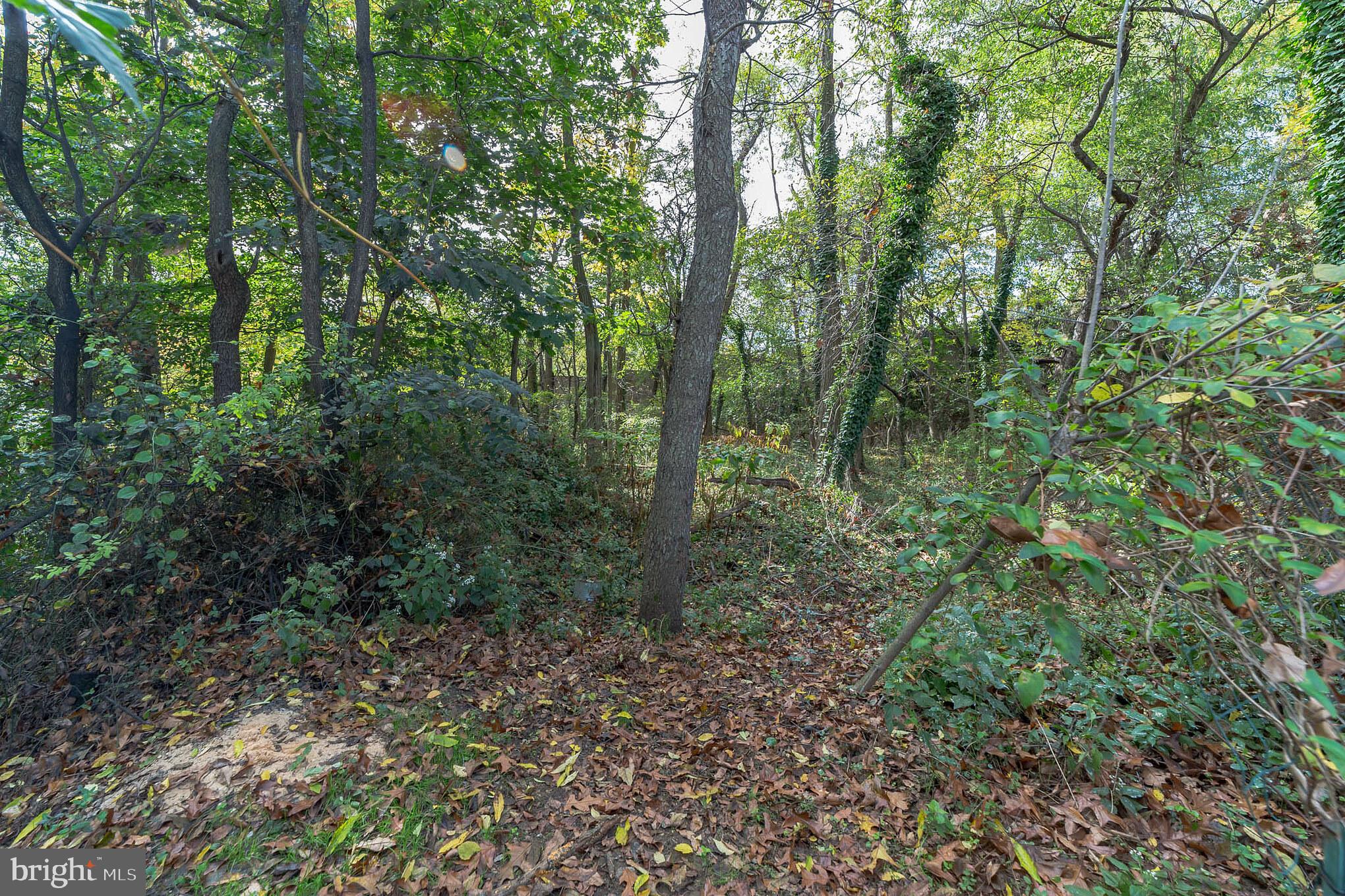 1518 Blackrock Road Swarthmore, PA 19081 - Photo 31 of 31 Back View