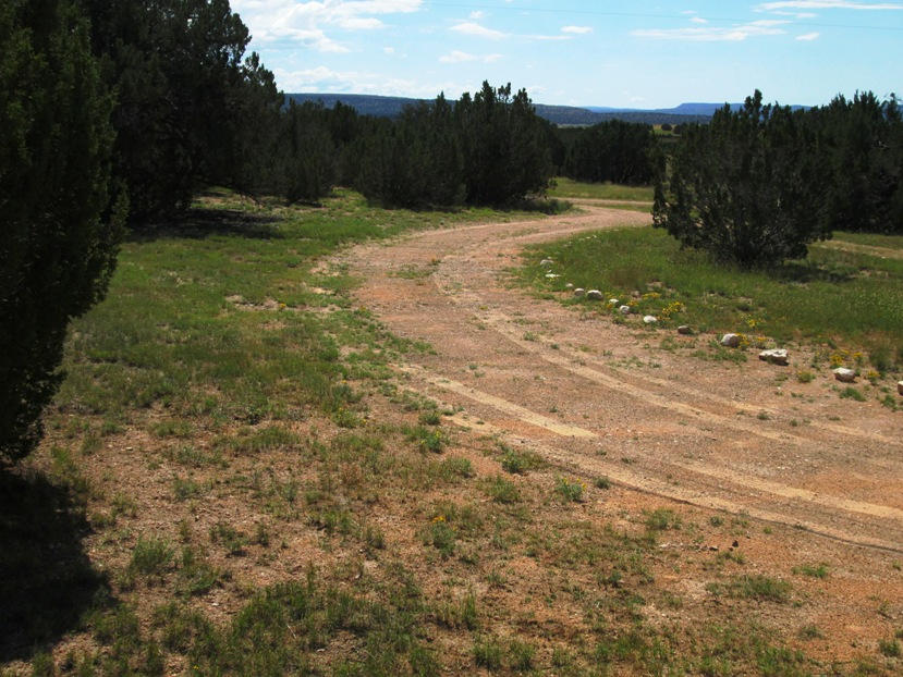 25620 Granada Road Seligman, AZ 86337 - Photo 16 of 16 IMG_0355