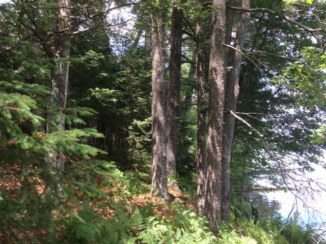 Lot 1 Birch Point Road Conover, WI 54519 - Photo 13 of 16 Gallery Image 13