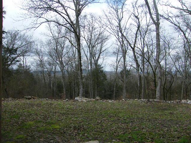 85 March Mill Road Fayetteville, TN 37334 - Photo 3 of 20 Gallery Image 3