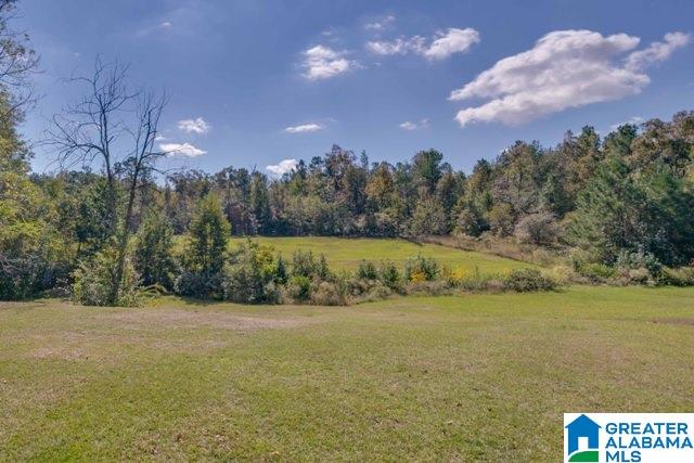 628 Creamer Road Wetumpka, AL 36093 - Photo 43 of 50