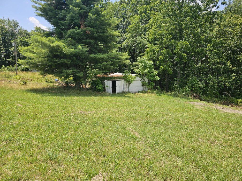 5618 Ellison Ridge Road Jumping Branch, WV 25969 - Photo 16 of 39 Gallery Image 16