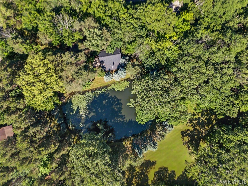 10985 Griswold Road Darien, NY 14040 - Photo 43 of 50