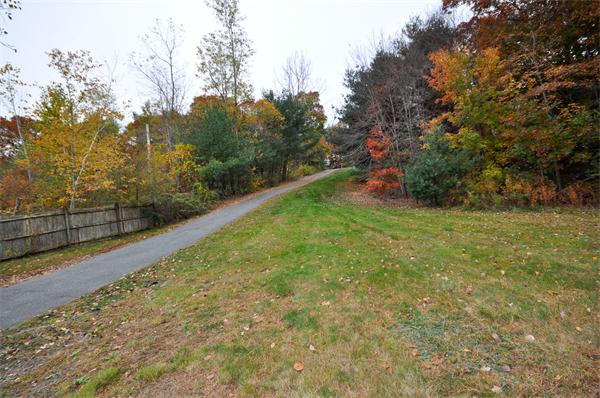 119 Pecunit Street Canton, MA 02021 - Photo 27 of 28 a view of a garden with plants and large trees