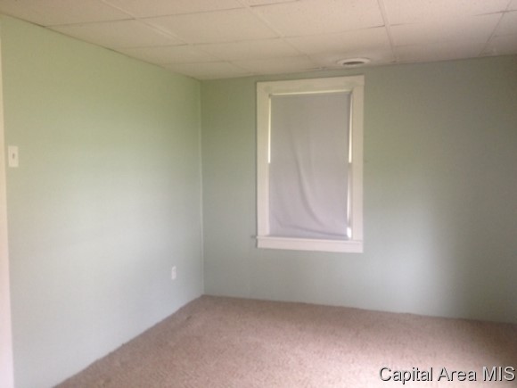 1316 North Mathews Street Springfield, IL 62702 - Photo 2 of 11