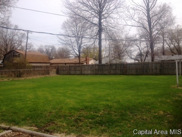1316 North Mathews Street Springfield, IL 62702 - Photo 8 of 11