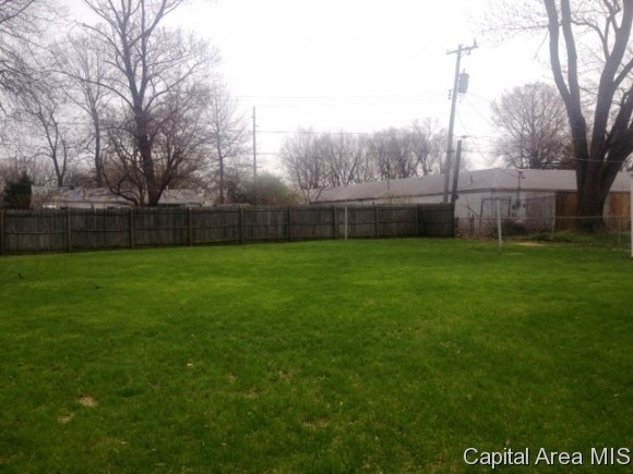 1316 North Mathews Street Springfield, IL 62702 - Photo 10 of 11
