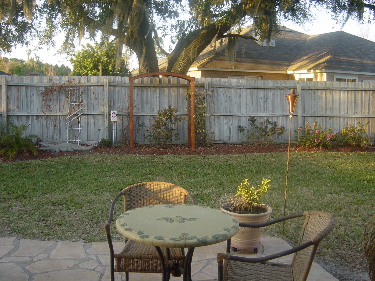 Backyard