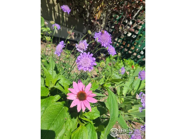 $434,900 | 3730 Garfield Avenue, Wellington, CO 80549