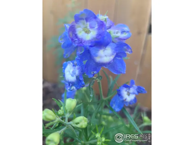 $434,900 | 3730 Garfield Avenue, Wellington, CO 80549