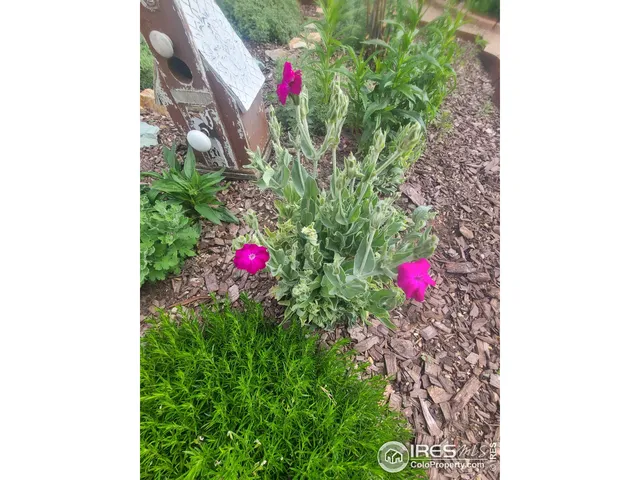 $434,900 | 3730 Garfield Avenue, Wellington, CO 80549