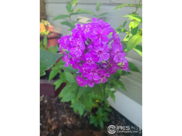 $434,900 | 3730 Garfield Avenue, Wellington, CO 80549