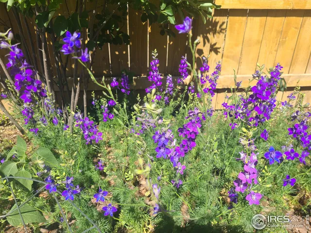 $434,900 | 3730 Garfield Avenue, Wellington, CO 80549