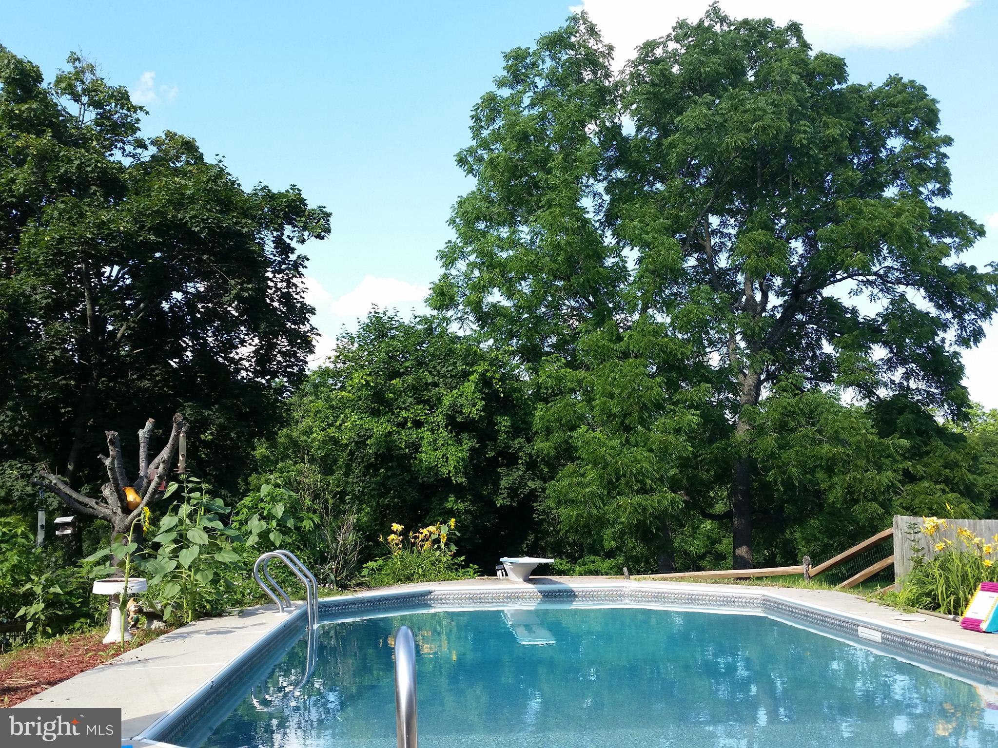 3321 Big Road Zieglerville, PA 19492 - Photo 22 of 32 Pool