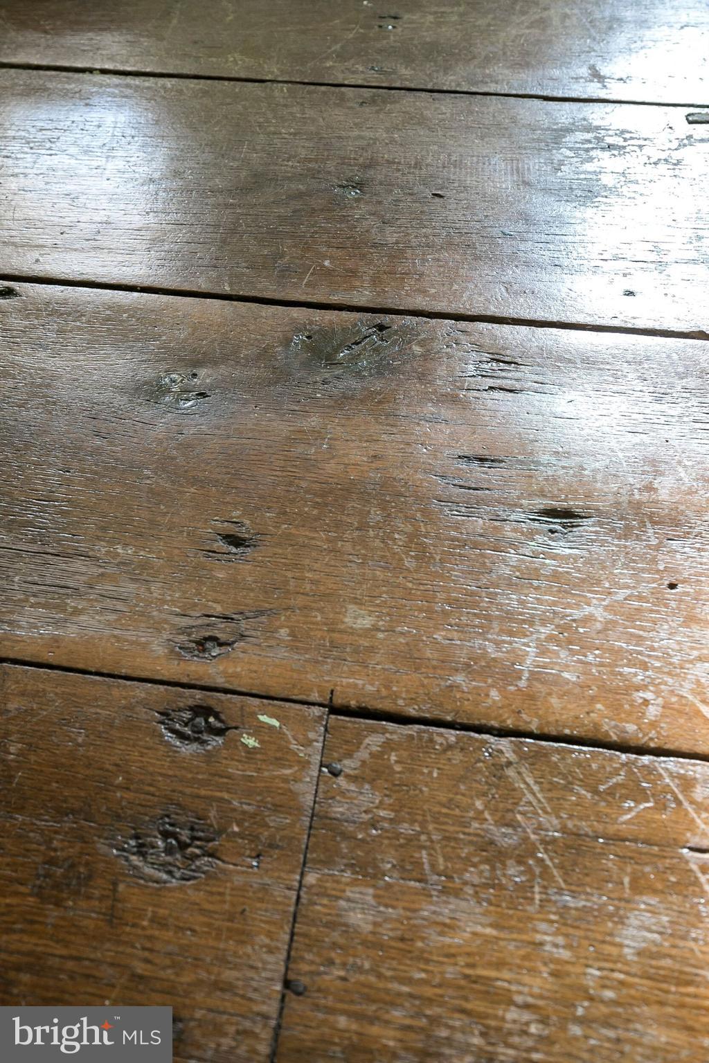 3321 Big Road Zieglerville, PA 19492 - Photo 9 of 32 Wide Plank Hardwood Floor