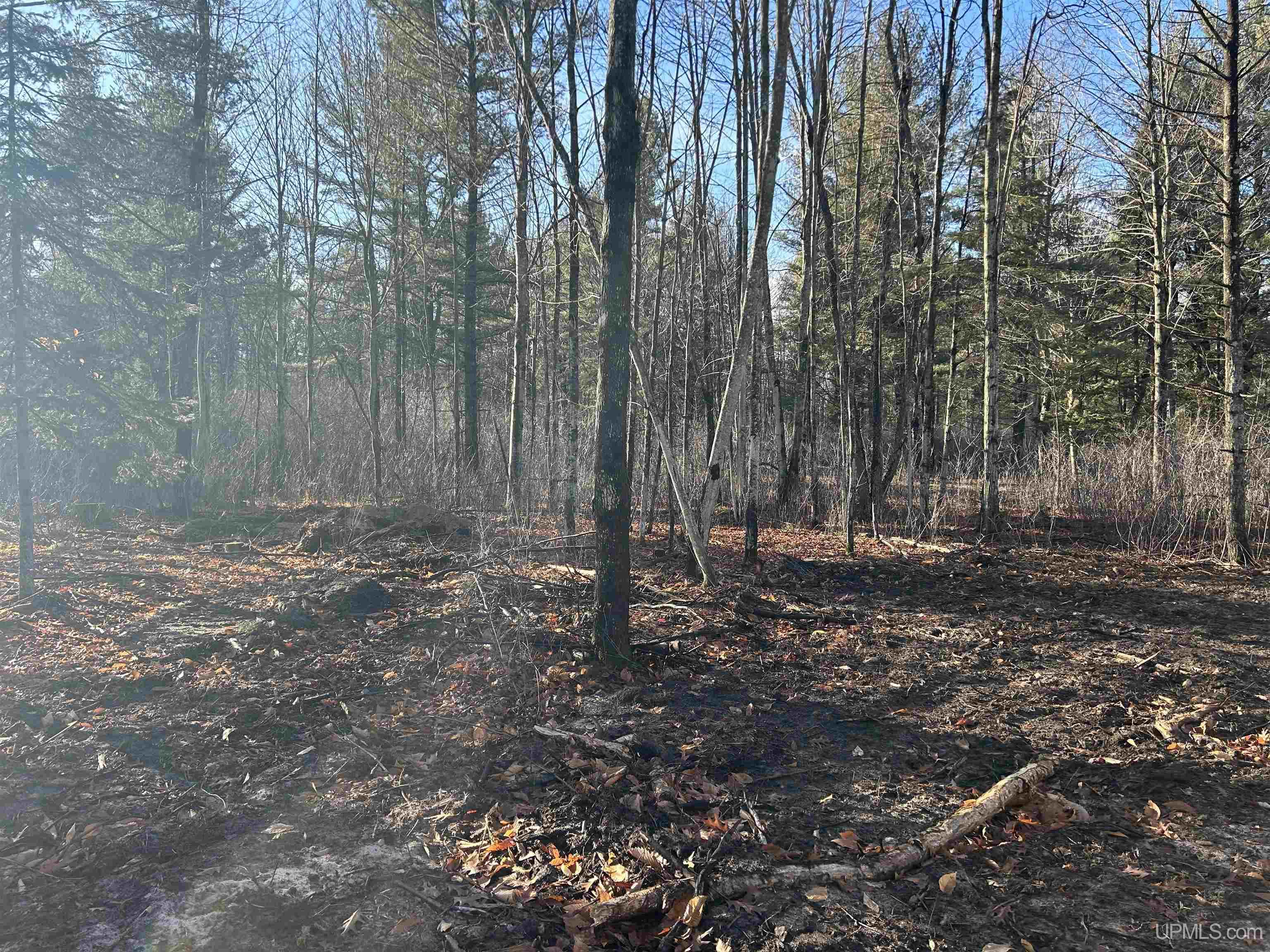 Tbd Old State Road Escanaba, MI 49829 - Photo 1 of 4