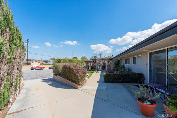 a view of a flower pot