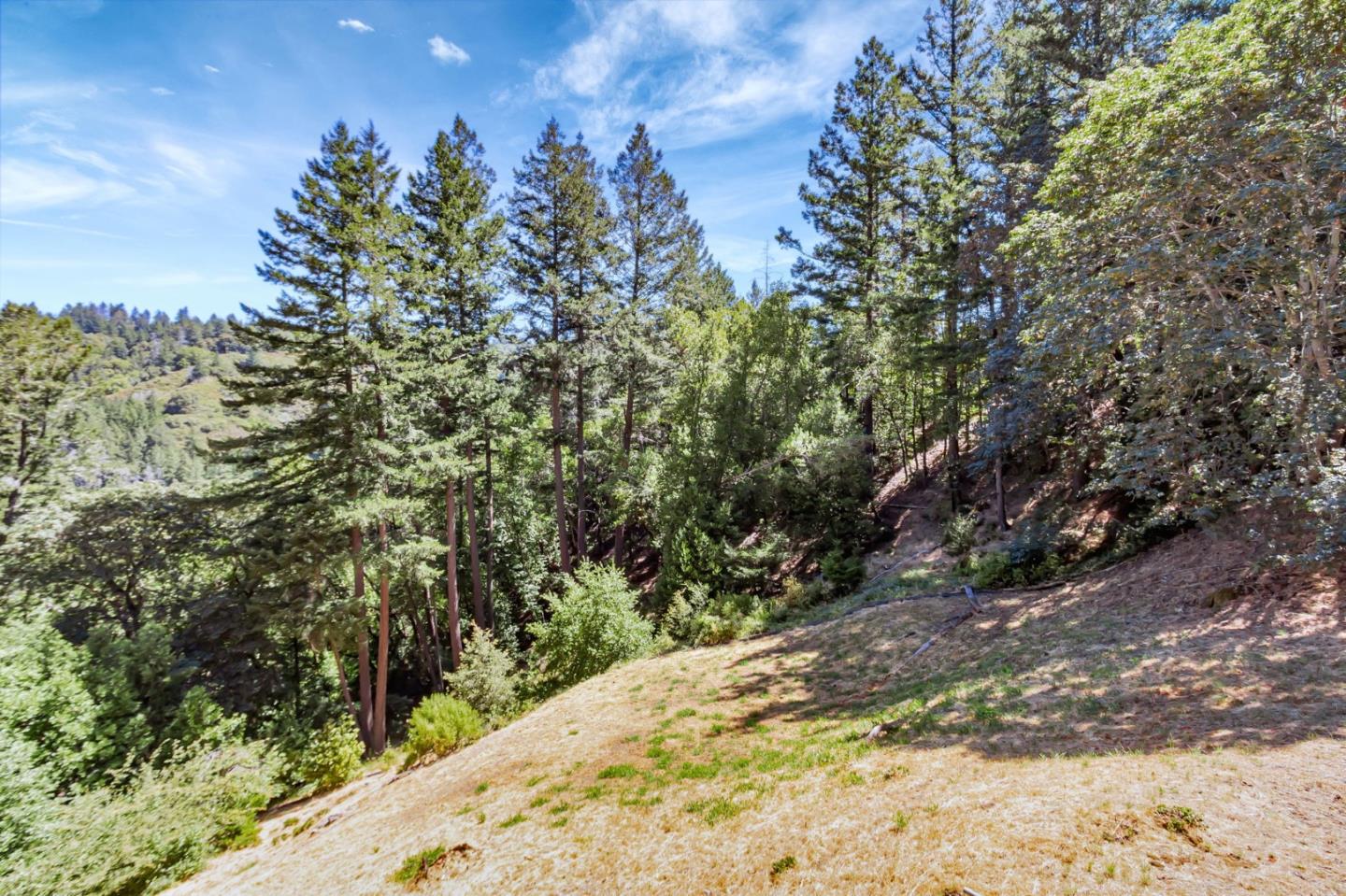 855 Oak Ridge Road Los Gatos, CA 95033 - Photo 66 of 73 a view of a backyard of the house