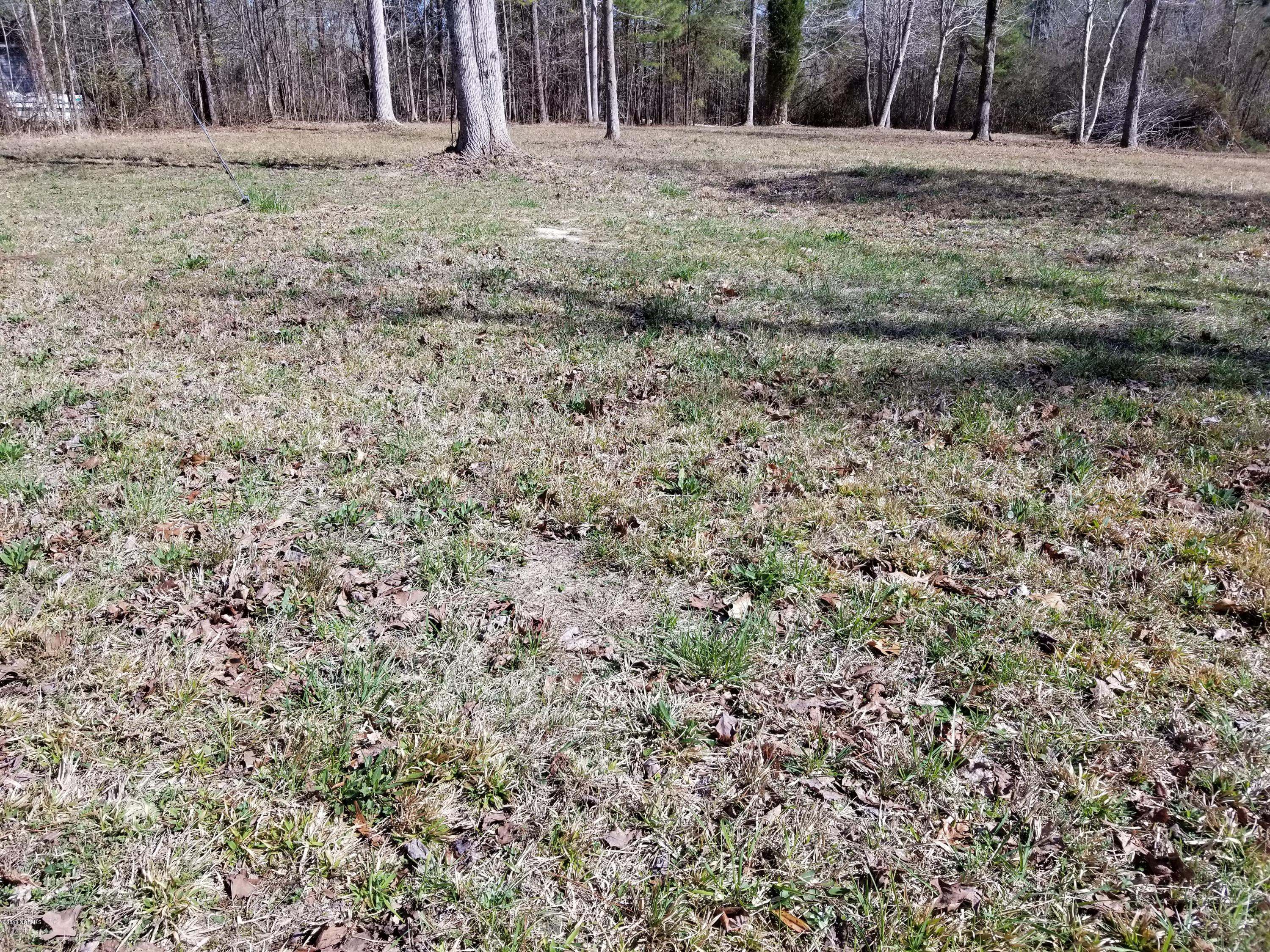 0 Long Point Road Chocowinity, NC 27817 - Photo 2 of 11 Lot 5