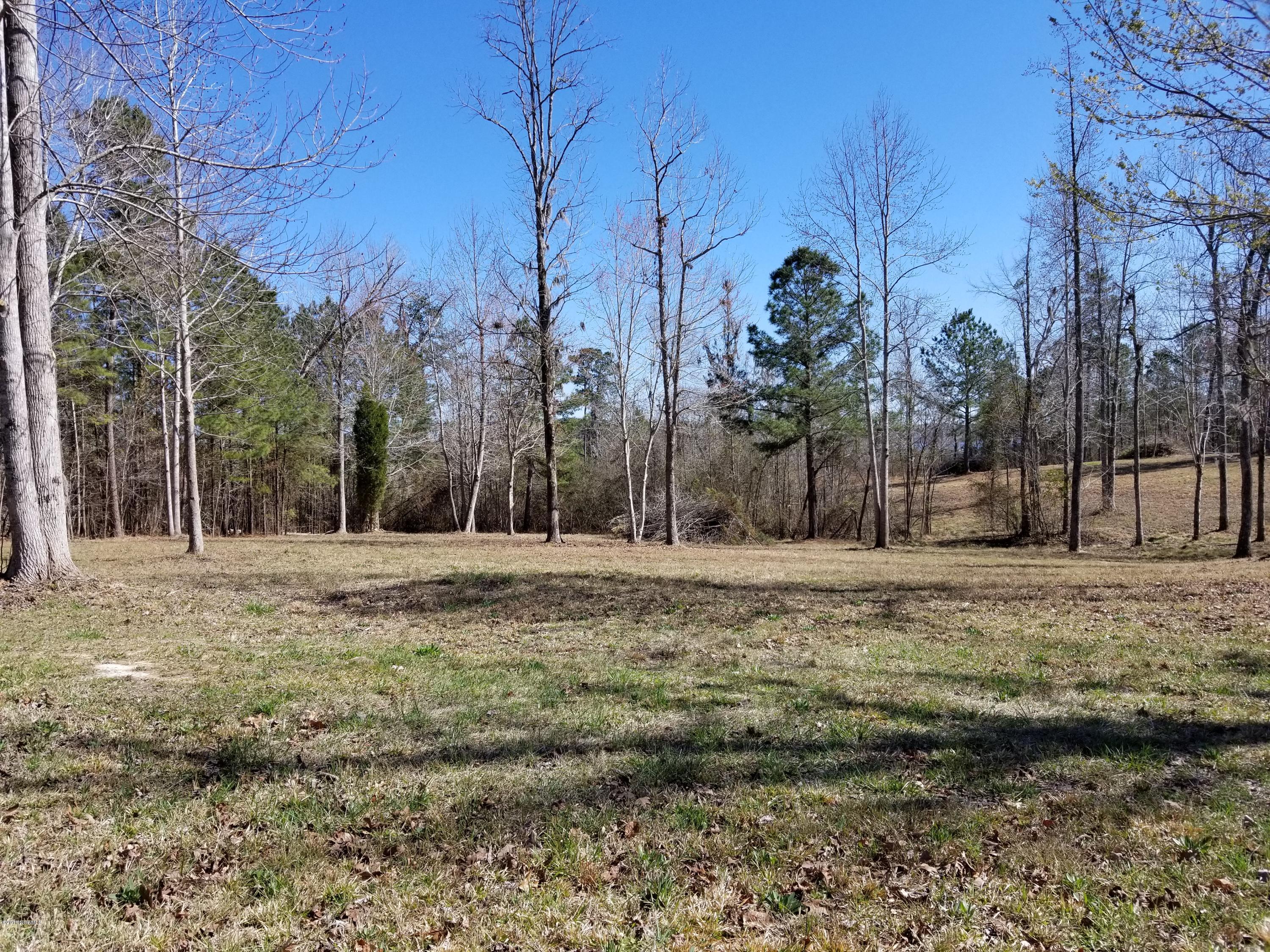0 Long Point Road Chocowinity, NC 27817 - Photo 3 of 11 Lot 5