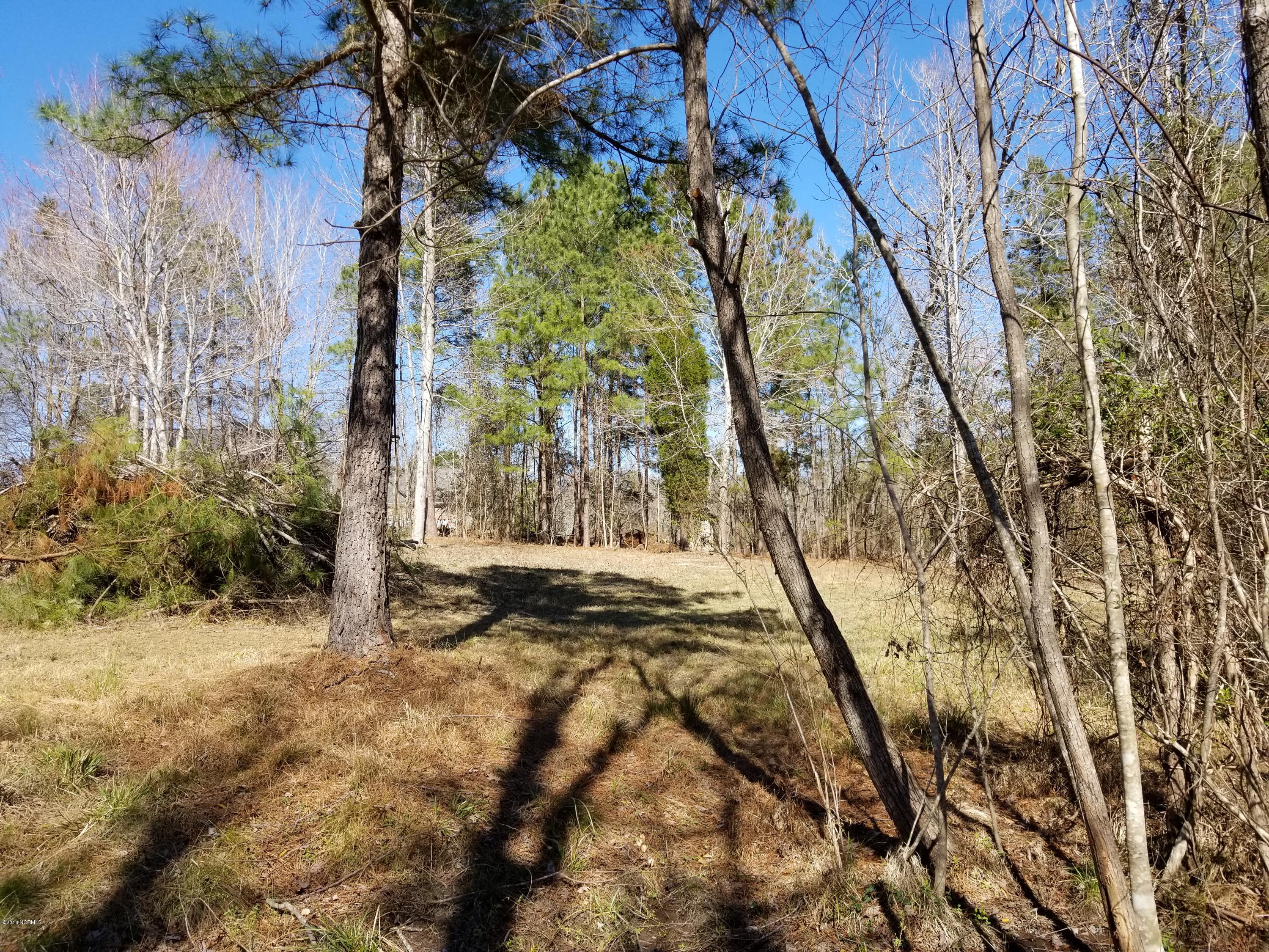 0 Long Point Road Chocowinity, NC 27817 - Photo 4 of 11 Lot 5