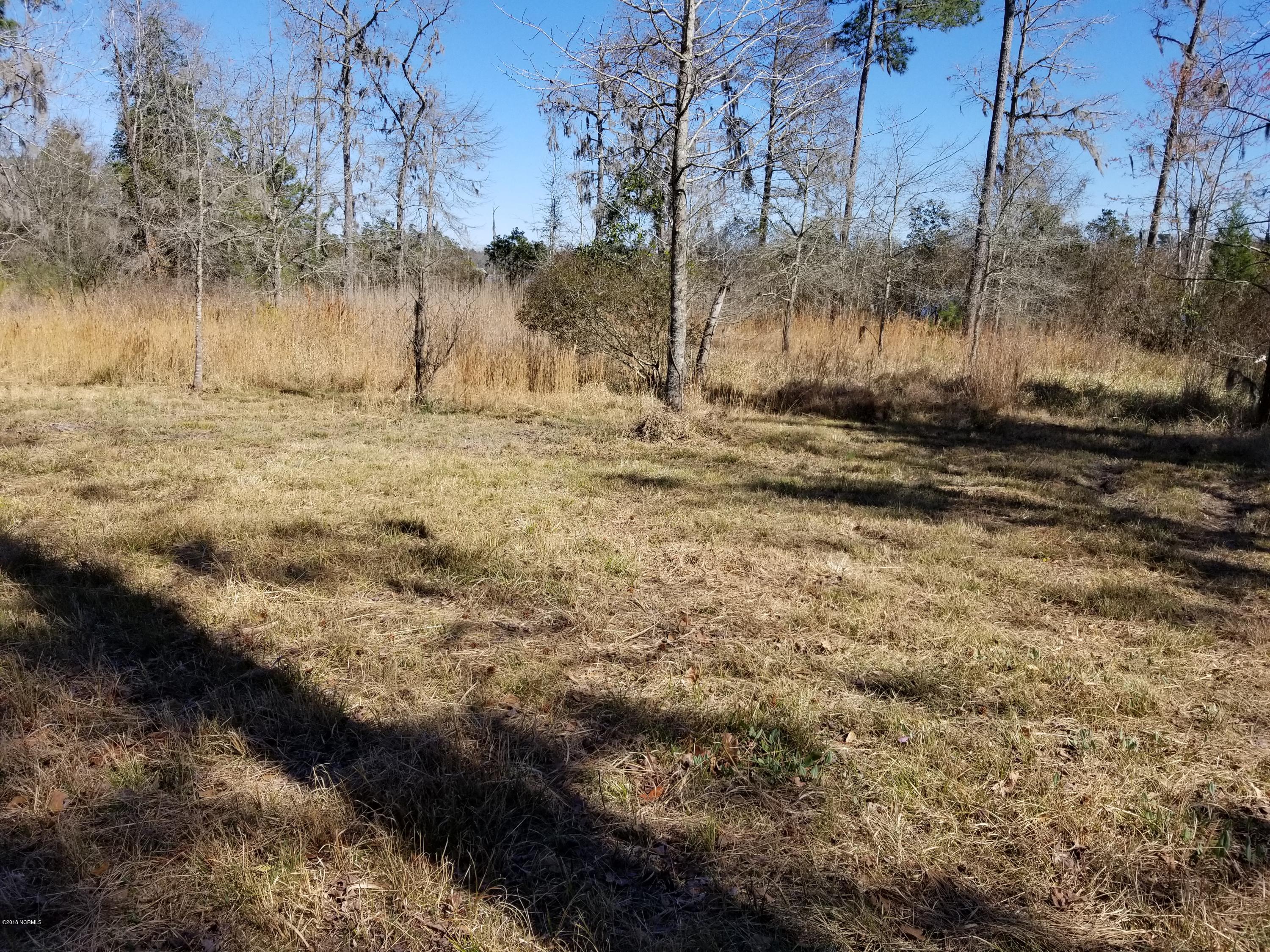 0 Long Point Road Chocowinity, NC 27817 - Photo 5 of 11 Lot