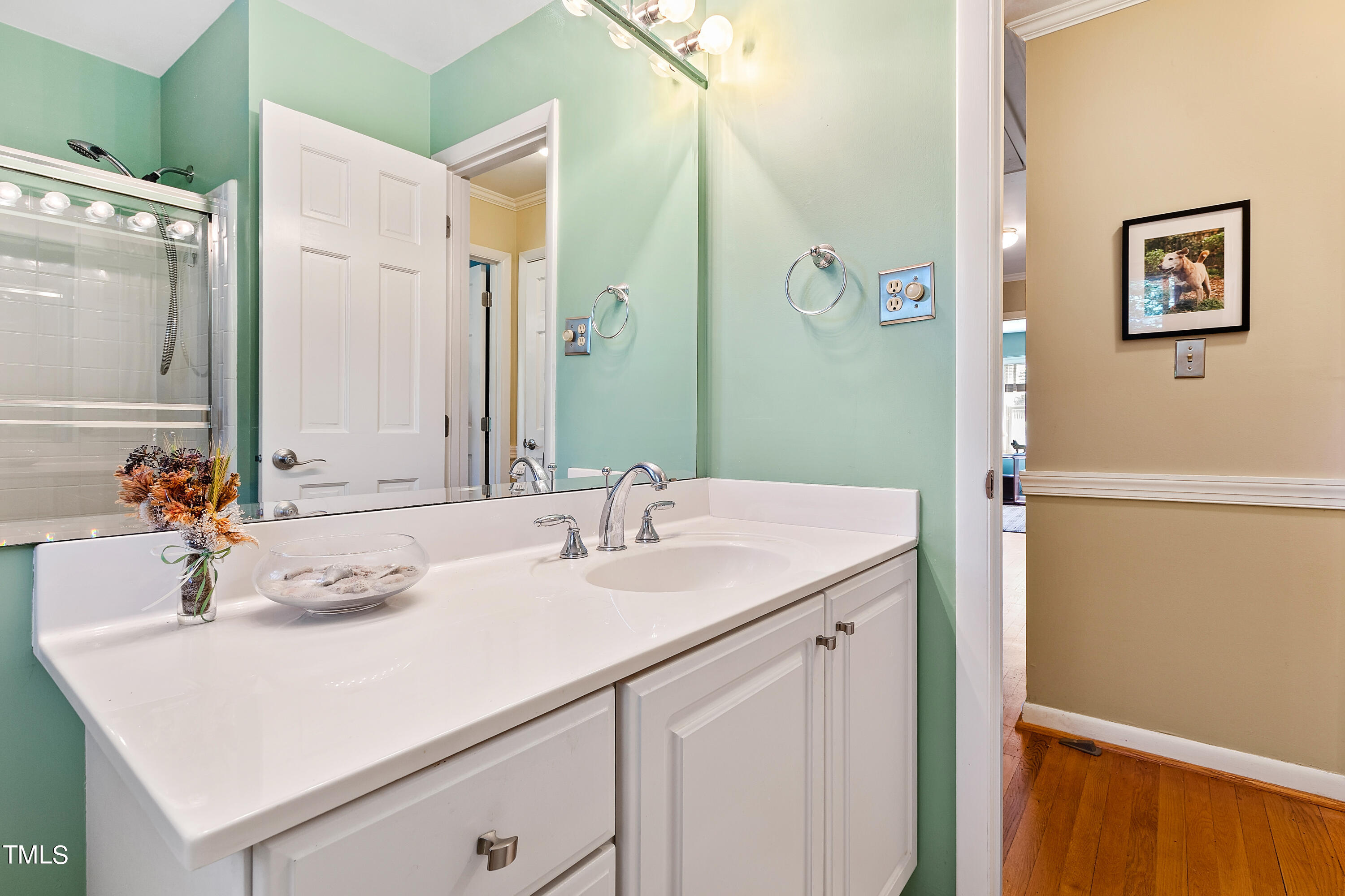 4832 Latimer Road Raleigh, NC 27609 - Photo 25 of 47 a bathroom with a sink vanity and a mirror