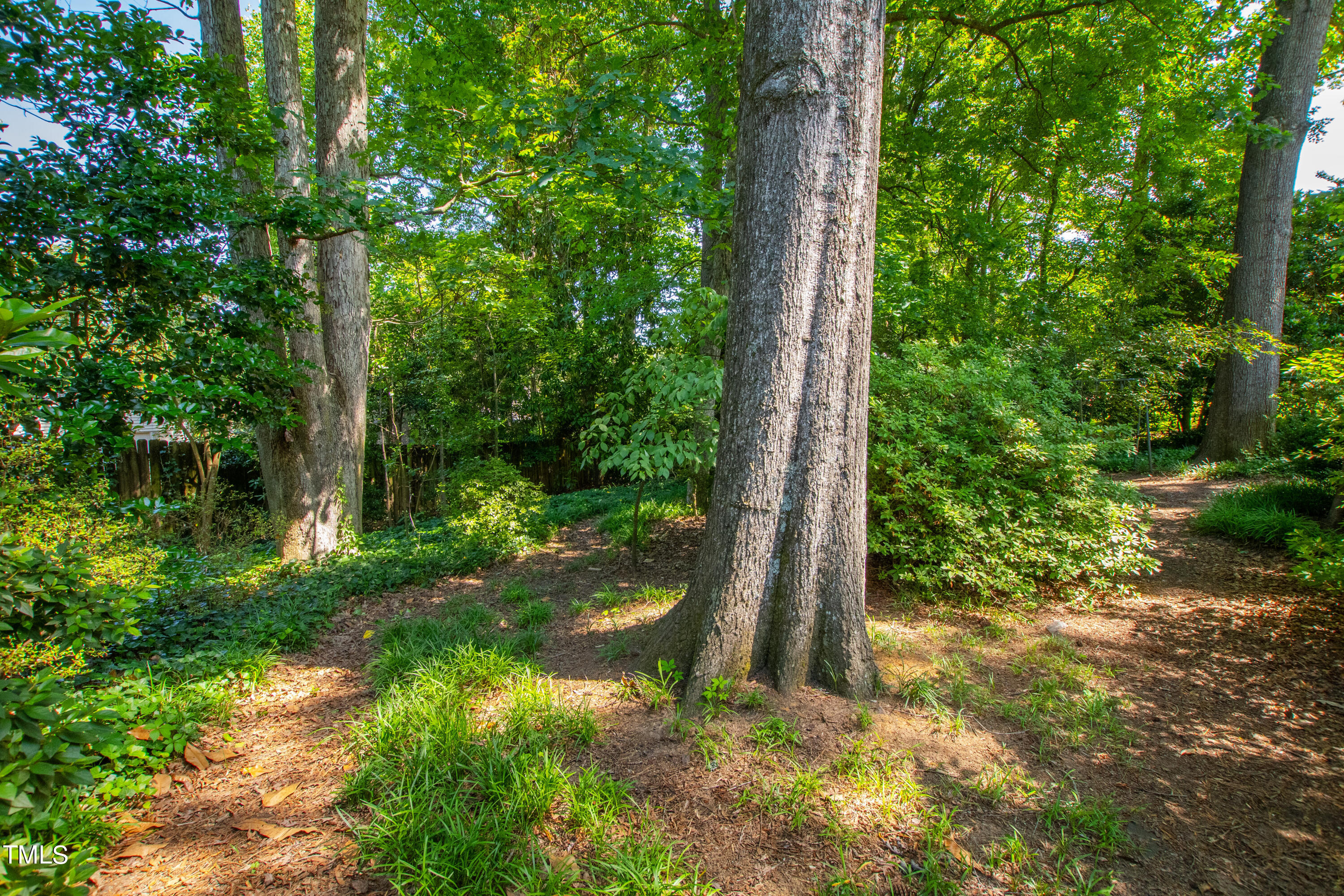 4832 Latimer Road Raleigh, NC 27609 - Photo 43 of 47 a backyard of a house with lots of green space