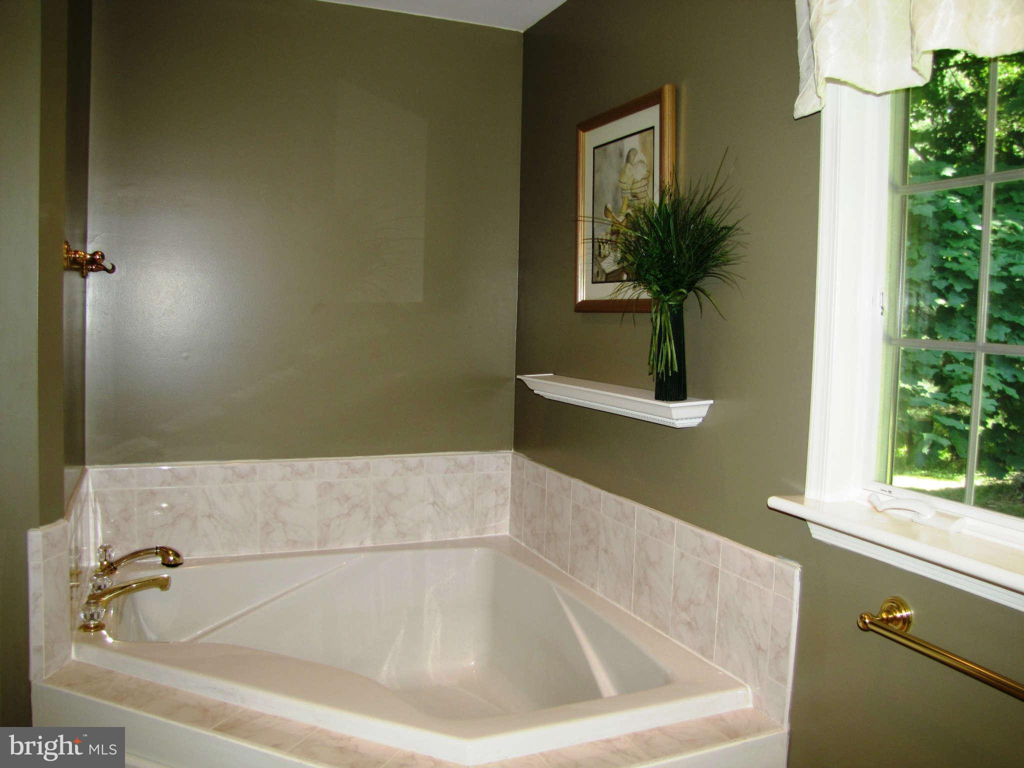 14148 Rover Mill Road West Friendship, MD 21794 - Photo 21 of 30 Bath (Master)