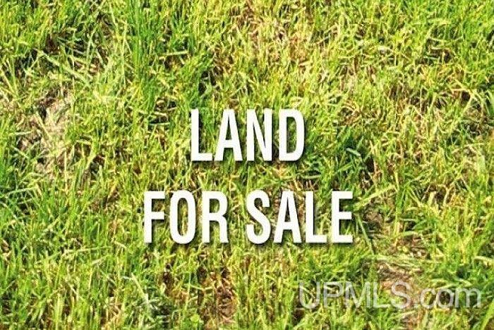 Tbd Tbd Ridge Road Munising, MI 49862 - Photo 1 of 1