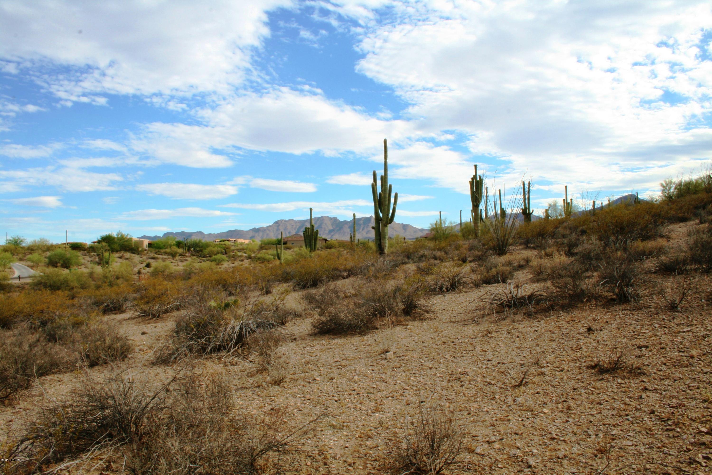 6075 North Abington Road, Unit LOT 4 Tucson, AZ 85743 - Photo 27 of 31