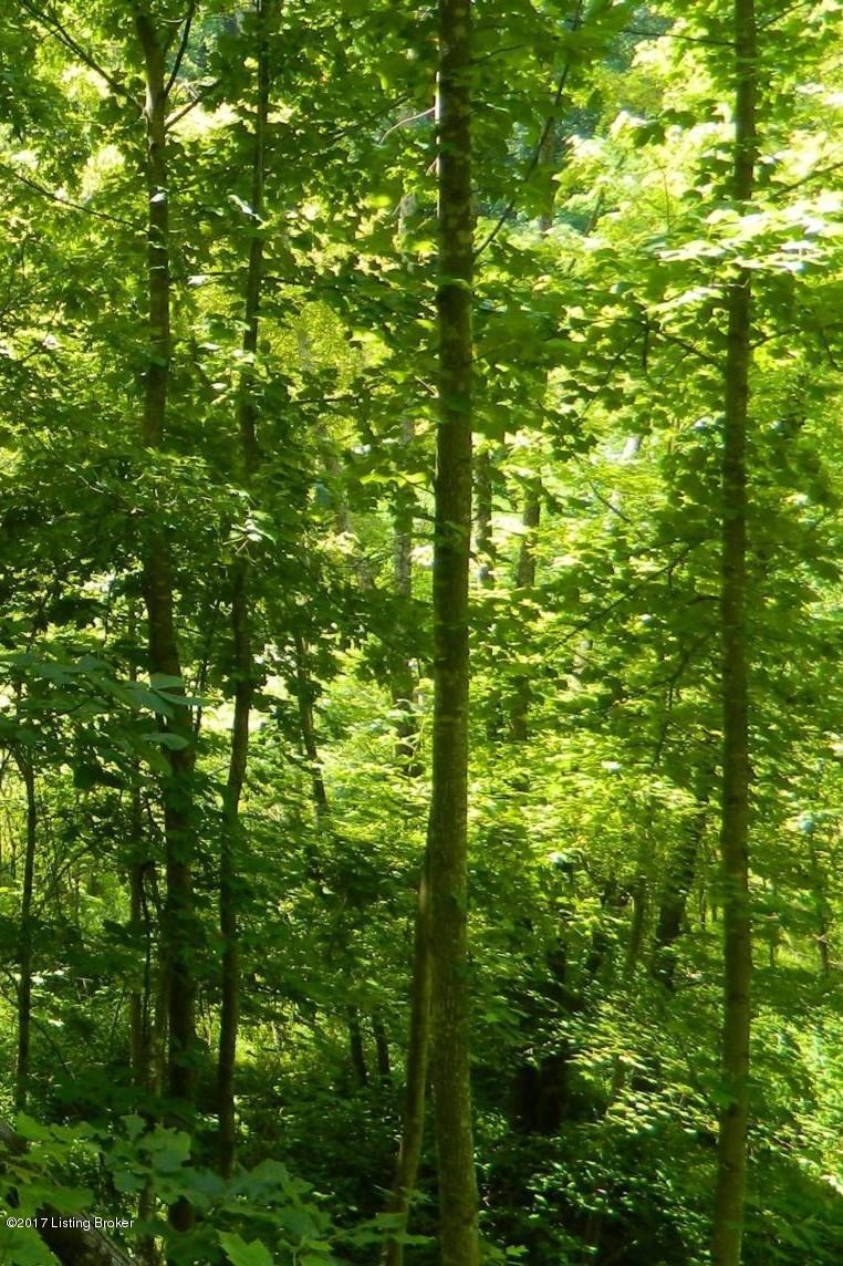 4 Roe Hill Road Brooks, KY 40109 - Photo 2 of 2 Roe Hill